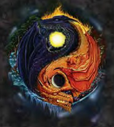 Dragon/Tiger Yin Yang Shirt